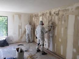  Fortville, IN Mold Remediation Pros